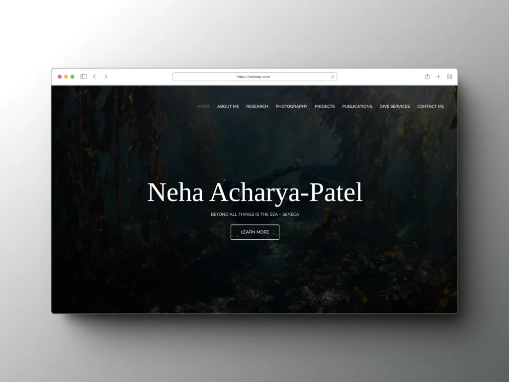 Neha Acharya-Patel Website Desktop View